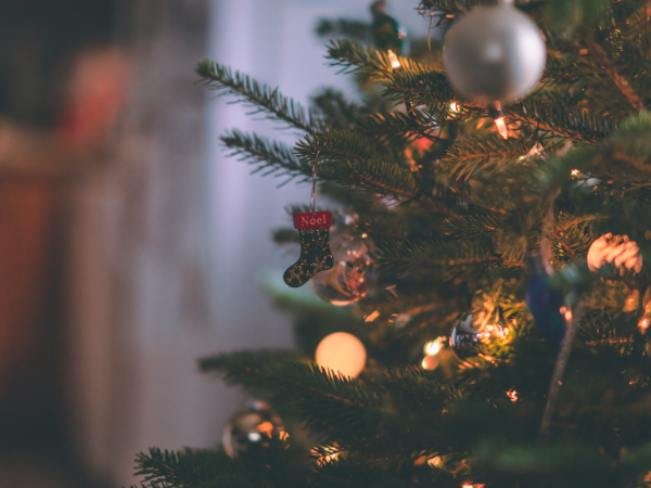 Christmas tree inside a home with lights and decorations