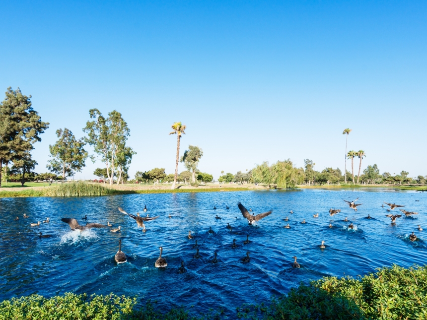 Whispering Lakes Golf Course