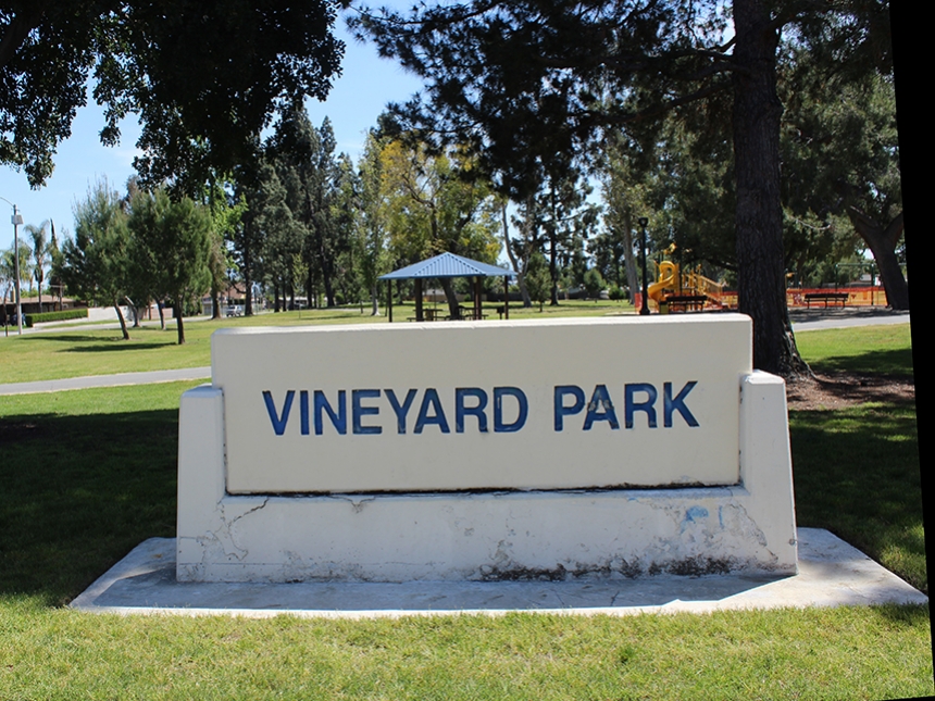 Vineyard Park